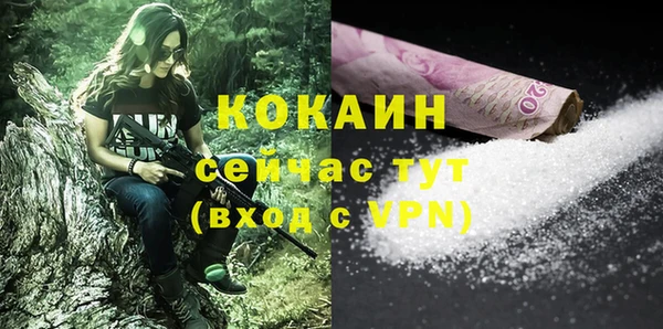 тгк Абаза