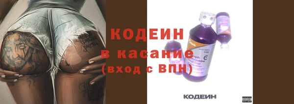 тгк Абаза