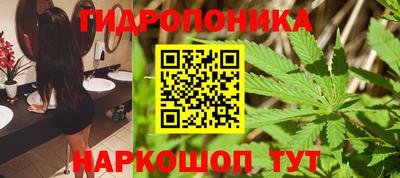 спиды Можга