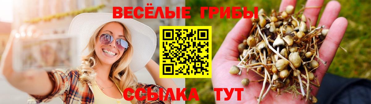 Галлюциногенные грибы мухоморы  Галлюциногенные грибы Magic Shrooms  Вход с VPN  Шумерля 