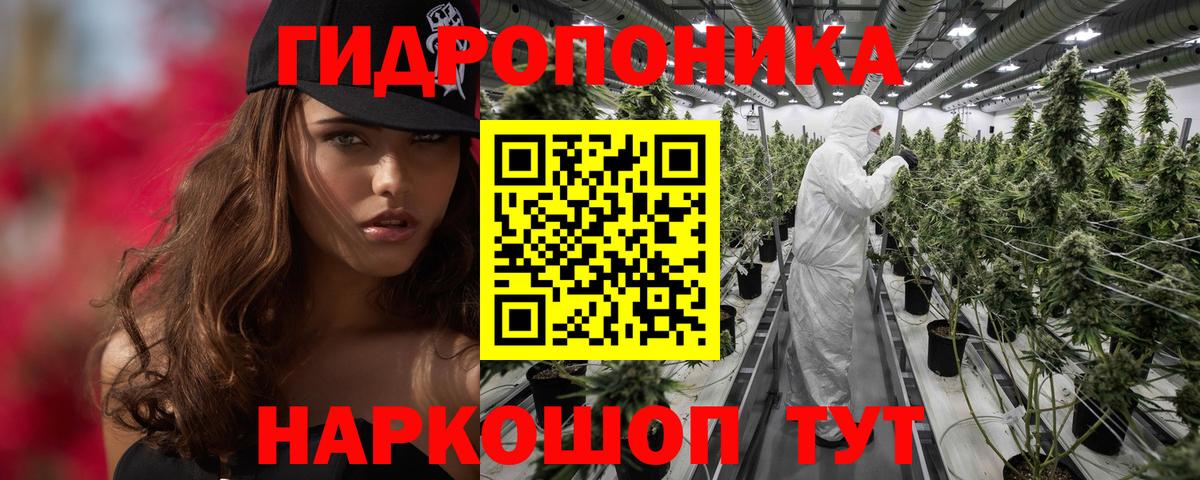 Шишки марихуана марихуана  Вход с VPN  МАРИХУАНА THC 21%  Шумерля  Шишки марихуана OG Kush  Марихуана OG Kush 